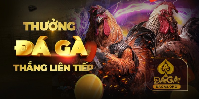 Tổng hợp khuyến mãi Daga Casino