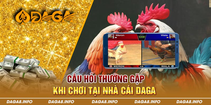 Câu Hỏi Thường Gặp (FAQ) Khi Chơi tại nhà